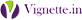 Website Designer based in Mumbai: Vignette Solutions